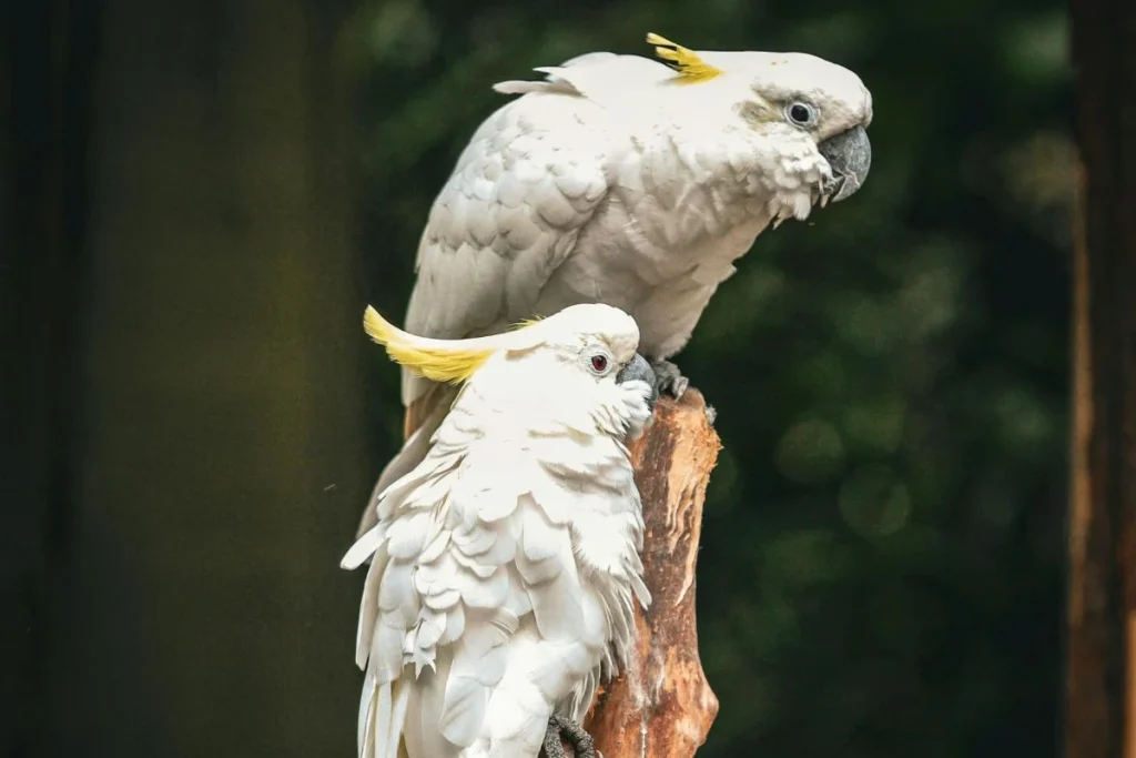 Best Birdwatching Locations in the US Near Water